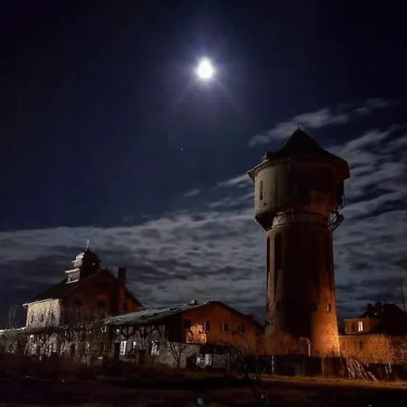 Z Napoleonem W Tle *