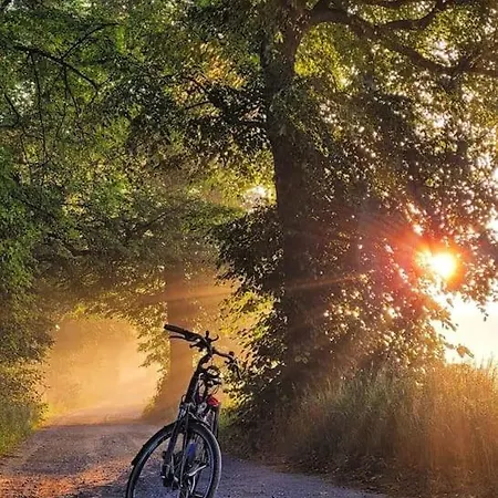 Apartment Z Napoleonem W Tle